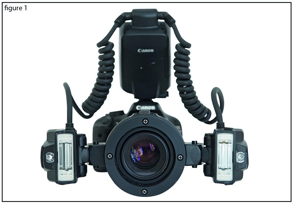 Photographic equipment from the authors’ illustrated source document for the 2017 shade-analysis article.