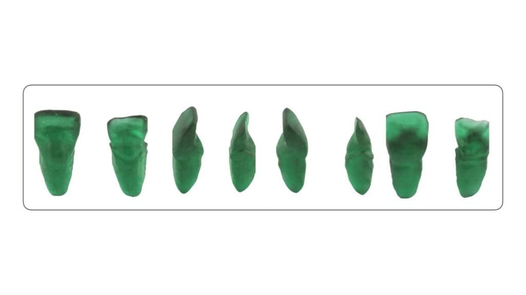 Three-dimensional tooth models shown in the i3d case report. Brokos et al., 2017, Creative Commons Attribution.